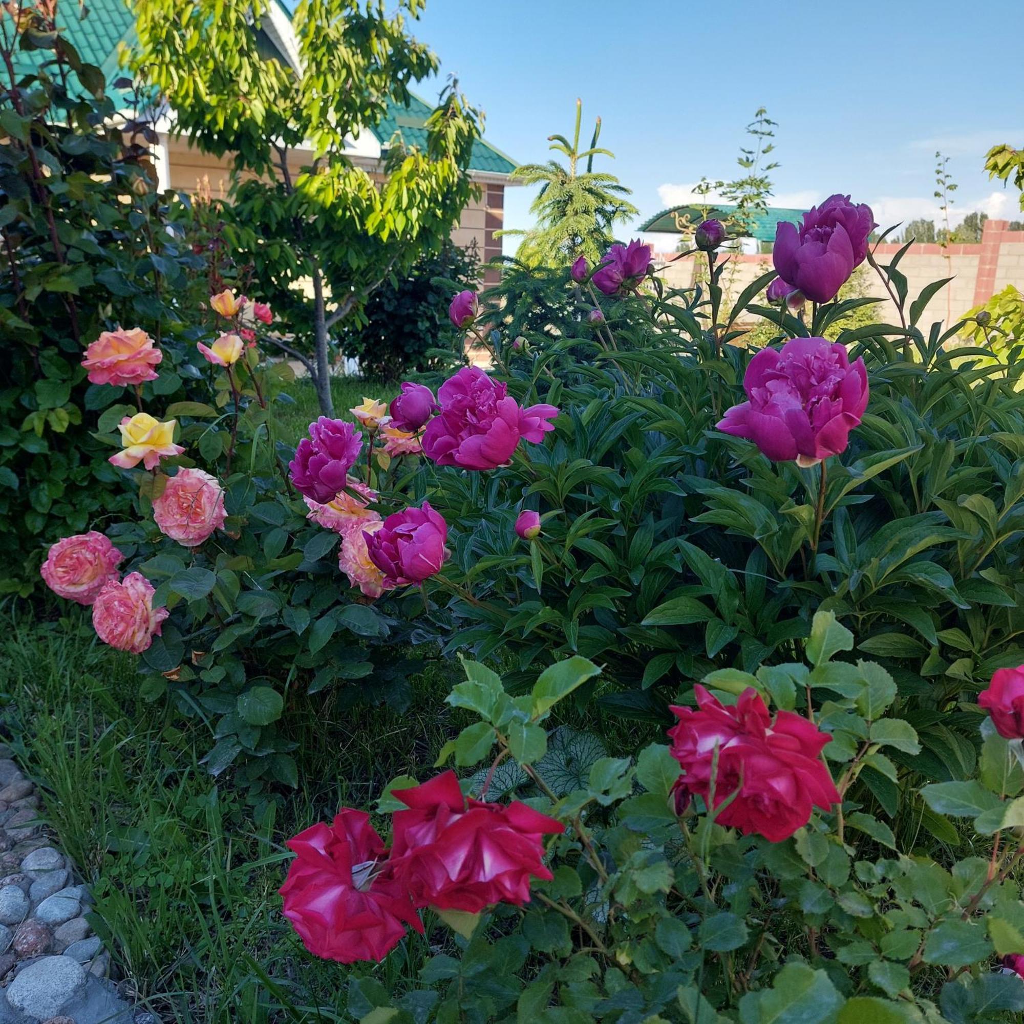 Svetlana Guest House Bokonbayevo Zewnętrze zdjęcie