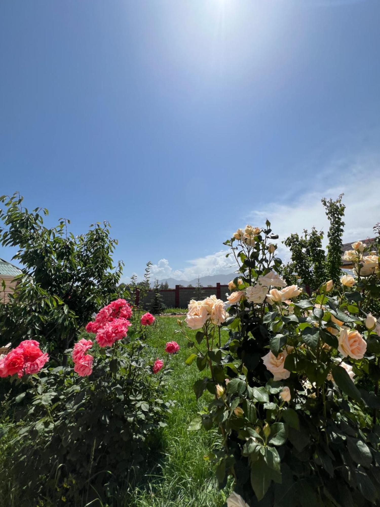 Svetlana Guest House Bokonbayevo Zewnętrze zdjęcie